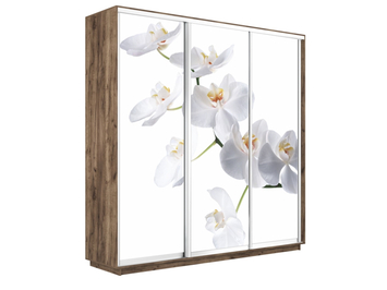 Шкаф-купе Экспресс Люкс 3-х дверный (Фото №1025 Орхидея белая)