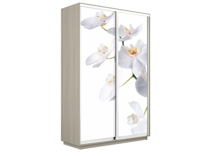 Шкаф-купе Экспресс 2-х дверный (Фото №1025 Орхидея белая), Ясень Мимо светлый